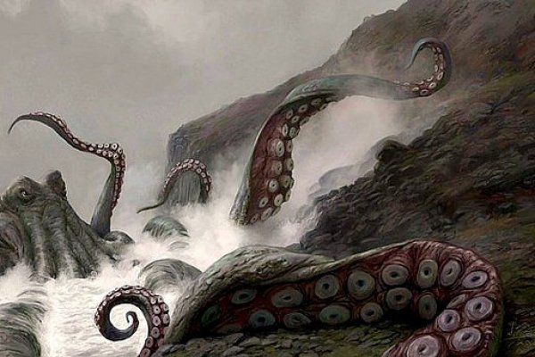 Kraken 25 at